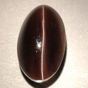 4,63 ctw natürlicher brauner Sillimanite Cat's Eye, Transparent, Transparent / Lichtdurchlässig