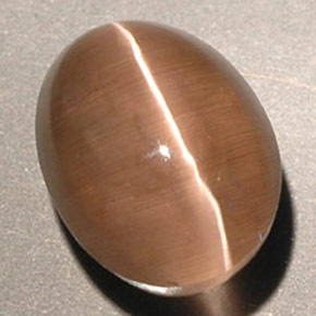 3,56 ctw natürlicher brauner Sillimanite Cat's Eye, Transparent, Transparent / Lichtdurchlässig