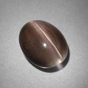 4,25 ctw natürlicher grauer Sillimanite Cat's Eye, Transparent, Transparent / Lichtdurchlässig