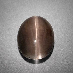 4,25 ctw natürlicher grauer Sillimanite Cat's Eye, Transparent, Transparent / Lichtdurchlässig