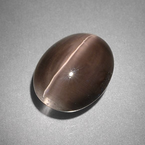 4,25 ctw natürlicher grauer Sillimanite Cat's Eye, Transparent, Transparent / Lichtdurchlässig