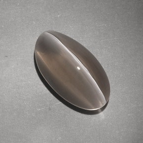 7,02 ctw natürlicher brauner Sillimanite Cat's Eye, Transparent, Transparent / Lichtdurchlässig