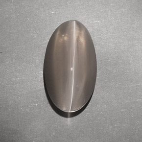 7,02 ctw natürlicher brauner Sillimanite Cat's Eye, Transparent, Transparent / Lichtdurchlässig