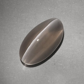 7,02 ctw natürlicher brauner Sillimanite Cat's Eye, Transparent, Transparent / Lichtdurchlässig