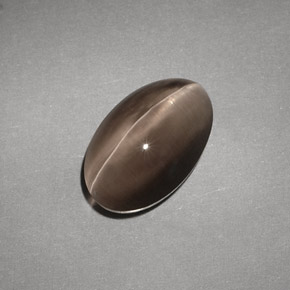 4,88 ctw natürlicher brauner Sillimanite Cat's Eye, Transparent, Transparent / Lichtdurchlässig