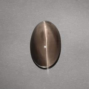 4,88 ctw natürlicher brauner Sillimanite Cat's Eye, Transparent, Transparent / Lichtdurchlässig