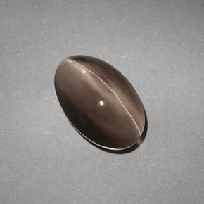 4,88 ctw natürlicher brauner Sillimanite Cat's Eye, Transparent, Transparent / Lichtdurchlässig