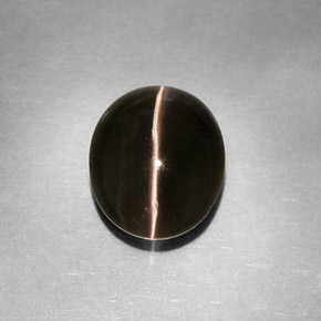 4,11 ctw natürlicher grauer Sillimanite Cat's Eye, Transparent, Transparent / Lichtdurchlässig