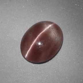 1,60 ctw natürlicher brauner Sillimanite Cat's Eye, Oval Schliff, Lichtdurchlässig