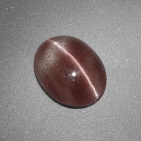 1,60 ctw natürlicher brauner Sillimanite Cat's Eye, Oval Schliff, Lichtdurchlässig