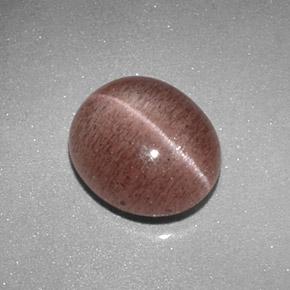 2,04 ctw natürlicher brauner Sillimanite Cat's Eye, Oval Schliff, Lichtdurchlässig