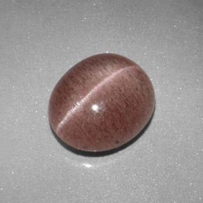2,04 ctw natürlicher brauner Sillimanite Cat's Eye, Oval Schliff, Lichtdurchlässig