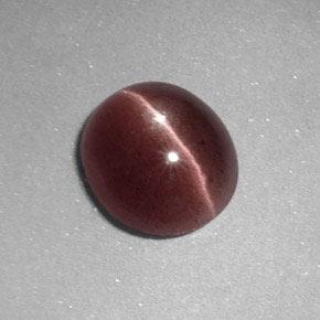 1,64 ctw natürlicher brauner Sillimanite Cat's Eye, Oval Schliff, Lichtundurchlässig