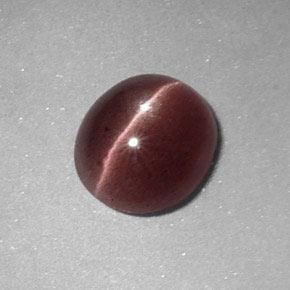 1,64 ctw natürlicher brauner Sillimanite Cat's Eye, Oval Schliff, Lichtundurchlässig
