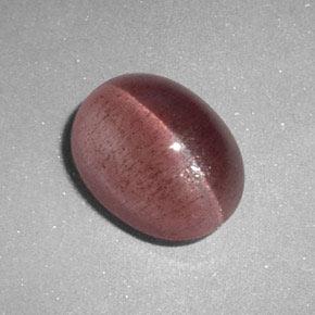 2,89 ctw natürlicher rosafarbener Sillimanite Cat's Eye, Oval Schliff, Lichtdurchlässig