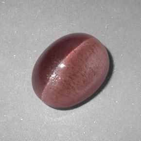 2,89 ctw natürlicher rosafarbener Sillimanite Cat's Eye, Oval Schliff, Lichtdurchlässig