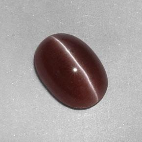 2,05 ctw natürlicher brauner Sillimanite Cat's Eye, Oval Schliff, Lichtundurchlässig