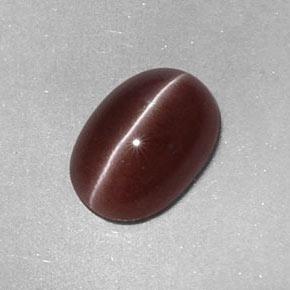 2,05 ctw natürlicher brauner Sillimanite Cat's Eye, Oval Schliff, Lichtundurchlässig