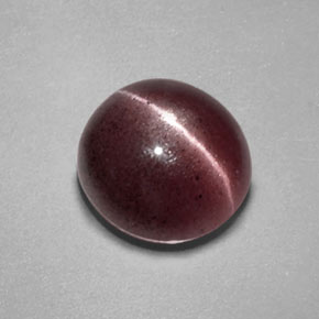 2,55 ctw natürlicher brauner Sillimanite Cat's Eye, Transparent, Transparent / Lichtdurchlässig