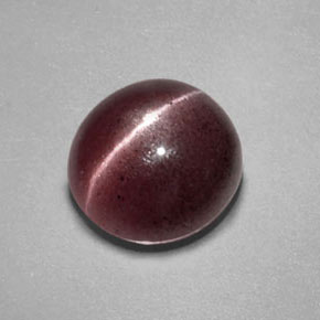 2,55 ctw natürlicher brauner Sillimanite Cat's Eye, Transparent, Transparent / Lichtdurchlässig