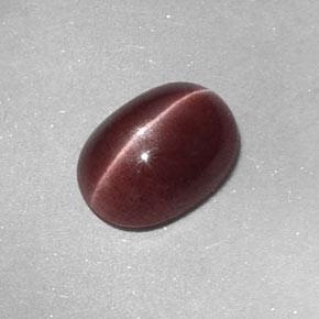 1,58 ctw natürlicher brauner Sillimanite Cat's Eye, Oval Schliff, Lichtundurchlässig