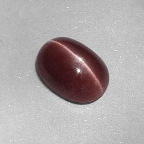 1,58 ctw natürlicher brauner Sillimanite Cat's Eye, Oval Schliff, Lichtundurchlässig