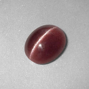 1,26 ctw natürlicher brauner Sillimanite Cat's Eye, Transparent, Transparent / Lichtdurchlässig