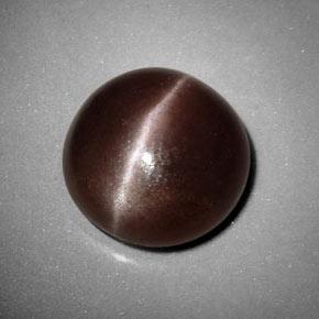 6,99 ctw natürlicher brauner Sillimanite Cat's Eye, Rundschliff, Lichtundurchlässig