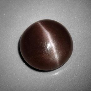 6,99 ctw natürlicher brauner Sillimanite Cat's Eye, Rundschliff, Lichtundurchlässig