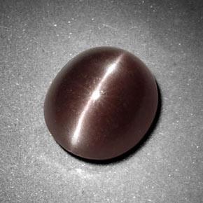3,29 ctw natürlicher brauner Sillimanite Cat's Eye, Oval Schliff, Lichtundurchlässig