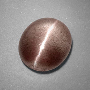 3,38 ctw natürlicher brauner Sillimanite Cat's Eye, Transparent, Transparent / Lichtdurchlässig
