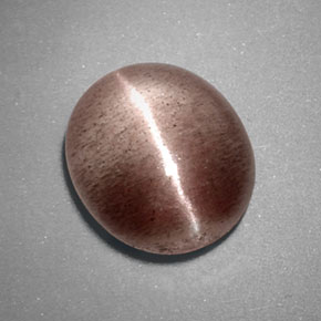 3,38 ctw natürlicher brauner Sillimanite Cat's Eye, Transparent, Transparent / Lichtdurchlässig