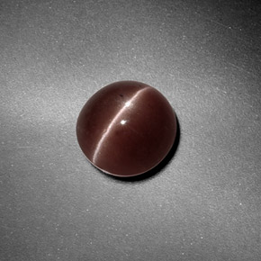 1,82 ctw natürlicher brauner Sillimanite Cat's Eye, Rundschliff, Lichtdurchlässig