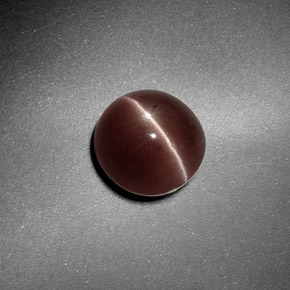 1,82 ctw natürlicher brauner Sillimanite Cat's Eye, Rundschliff, Lichtdurchlässig