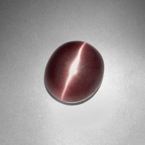 3,29 ctw natürlicher brauner Sillimanite Cat's Eye, Oval Schliff, Lichtundurchlässig