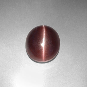 3,29 ctw natürlicher brauner Sillimanite Cat's Eye, Oval Schliff, Lichtundurchlässig