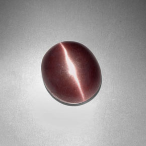 3,29 ctw natürlicher brauner Sillimanite Cat's Eye, Oval Schliff, Lichtundurchlässig