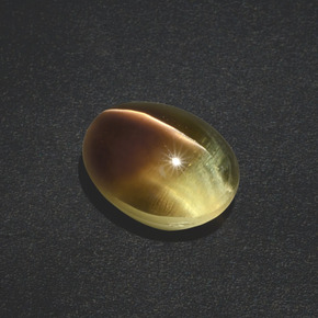 3,02 ctw natürlicher brauner Sillimanite Cat's Eye, Oval Schliff, Lichtdurchlässig