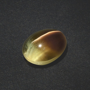 3,02 ctw natürlicher brauner Sillimanite Cat's Eye, Oval Schliff, Lichtdurchlässig
