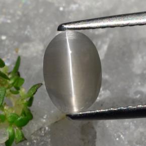 9,17 ctw natürlicher gräulich-braun Sillimanit-Katzenauge, Oval Schliff, Lichtdurchlässig