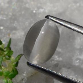 9,17 ctw natürlicher gräulich-braun Sillimanit-Katzenauge, Oval Schliff, Lichtdurchlässig