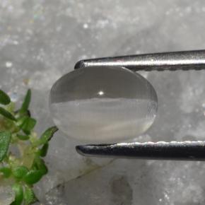 9,17 ctw natürlicher gräulich-braun Sillimanit-Katzenauge, Oval Schliff, Lichtdurchlässig