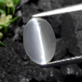 9,17 ctw natürlicher gräulich-braun Sillimanit-Katzenauge, Oval Schliff, Transparent