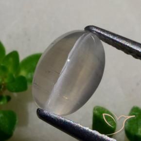 9,17 ctw natürlicher Sehr helles Grau Sillimanit-Katzenauge, Oval, Lichtdurchlässig