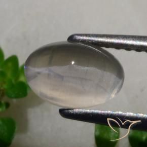 9,17 ctw natürlicher Sehr helles Grau Sillimanit-Katzenauge, Oval, Lichtdurchlässig