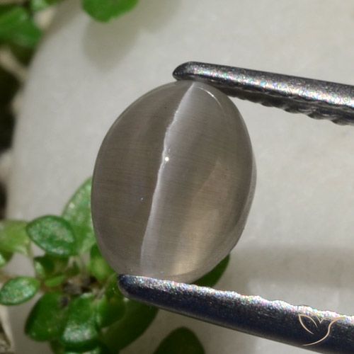 1.80ct Natürlicher Erdnussbraun Sillimanit-Katzenauge, Oval, Lichtdurchlässig