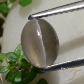 9,17 ctw natürlicher Erdnussbraun Sillimanit-Katzenauge, Oval, Lichtdurchlässig