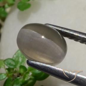 9,17 ctw natürlicher Erdnussbraun Sillimanit-Katzenauge, Oval, Lichtdurchlässig