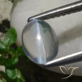 9,17 ctw natürlicher Weiß Sillimanit-Katzenauge, Oval, Transparent