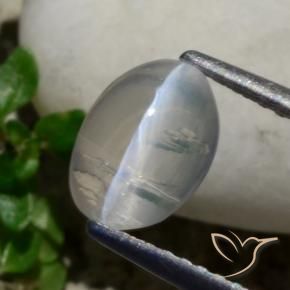 9,17 ctw natürlicher Sehr helles Grau Sillimanit-Katzenauge, Oval, Transparent